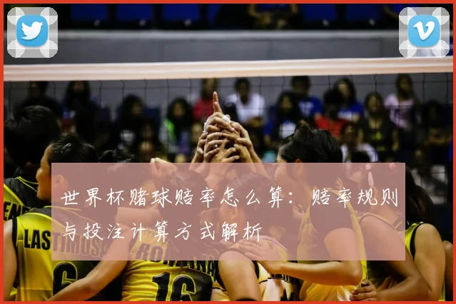 世界杯赌球赔率怎么算：赔率规则与投注计算方式解析