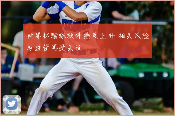 世界杯赌球软件热度上升 相关风险与监管再受关注