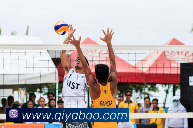 开云kaiyun入口平台生态图